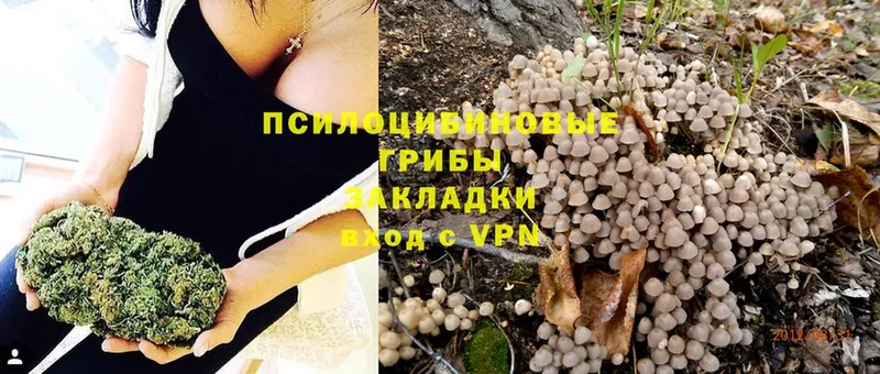 купить  цена  Глазов  hydra ссылки  darknet состав  Галлюциногенные грибы Magic Shrooms 